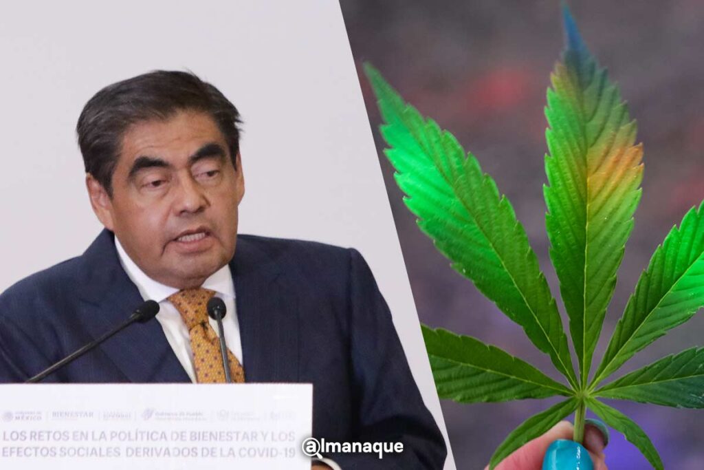 Miguel Barbosa uso ludico de marihuana