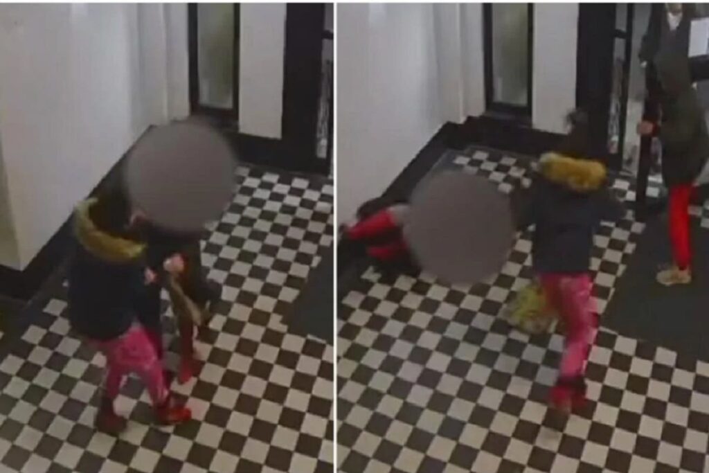 asalto a anciana nueva York 1