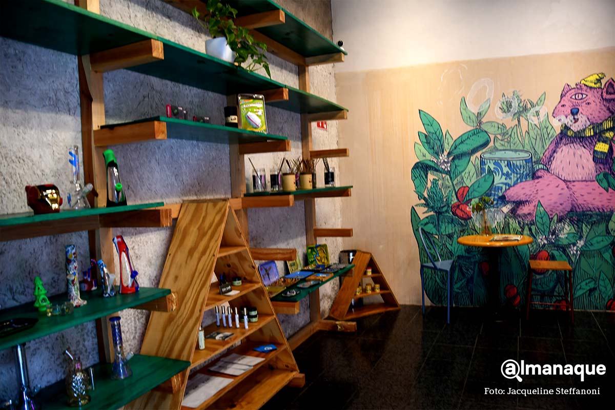 cafe CBD Puebla mi camigo cafe 2