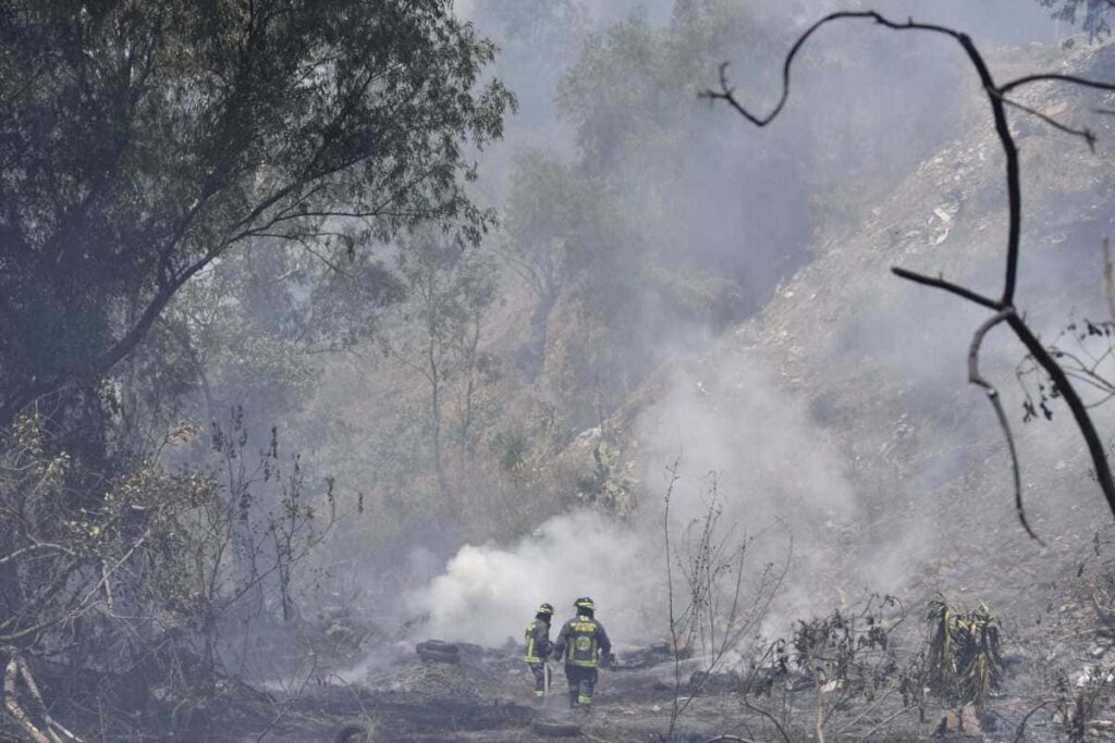 incendios forestales 1