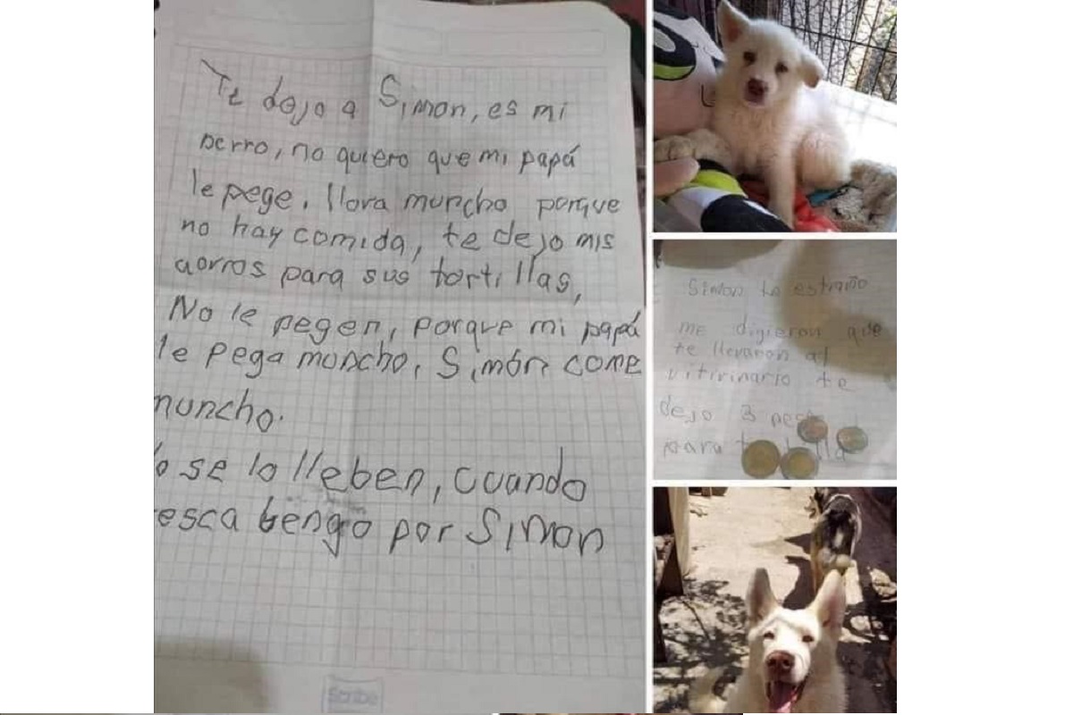Niño deja a su perro en albergue porque su papá le pegaba y le envía cartas 3 simon 1