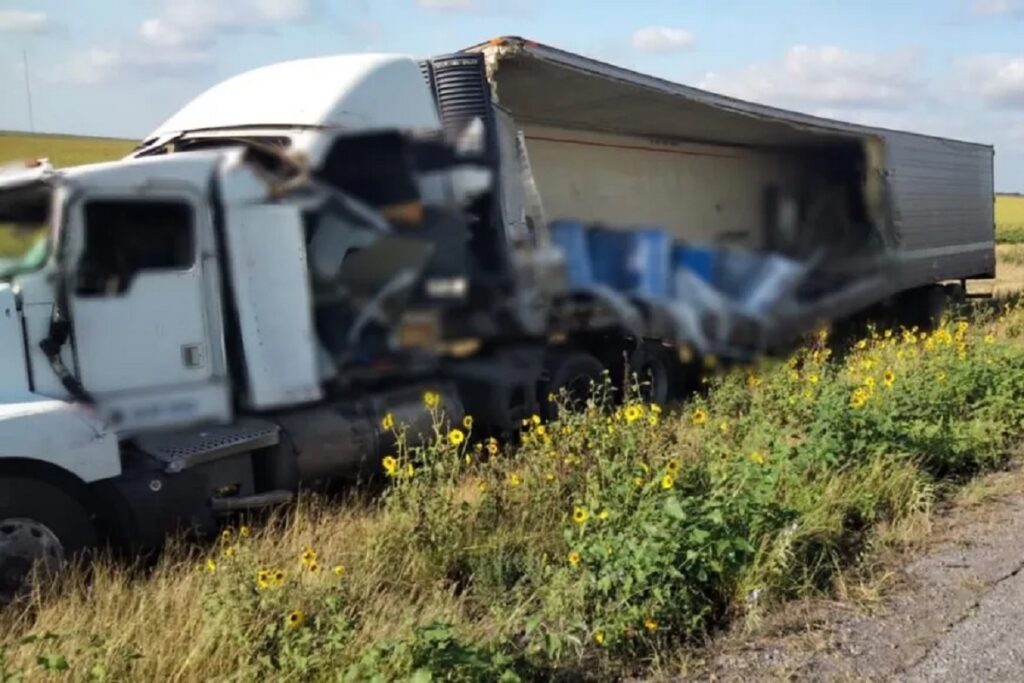 4 toneladas perros y gatos