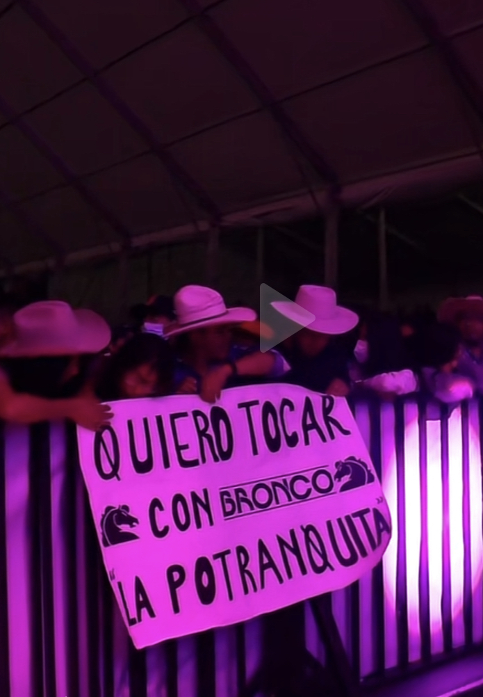 El gigante de América: Bronco sube a tocar a fan en la Feria de Puebla 8 6A92D817 1681 4BA9 882B 16DB815DC4C6