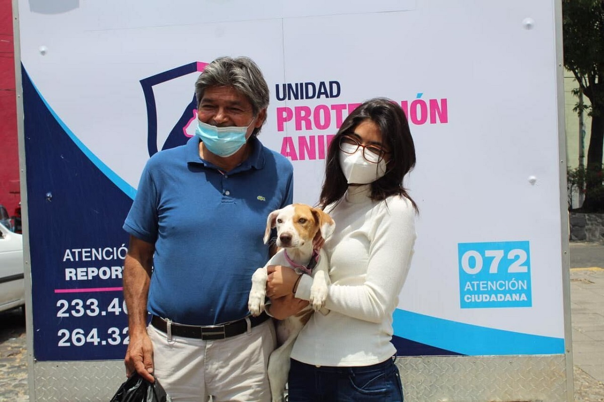 Más lomitos encuentran un hogar en las jornadas de adopción del Ayuntamiento de Puebla 1 Imagen de iOS 318