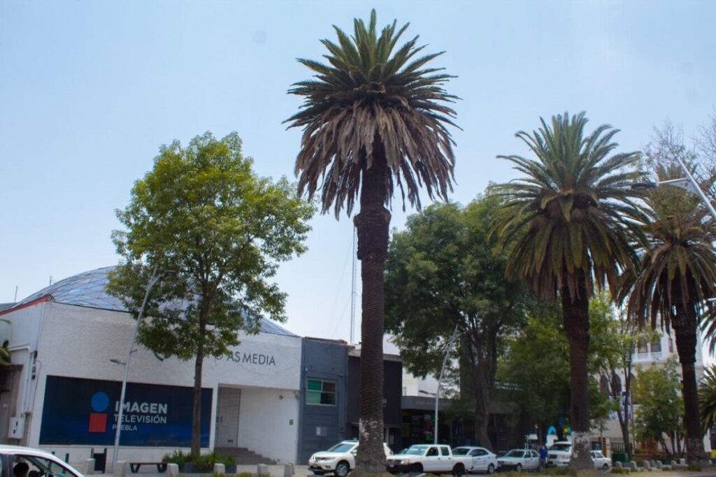 Imagen de iOS 6 2