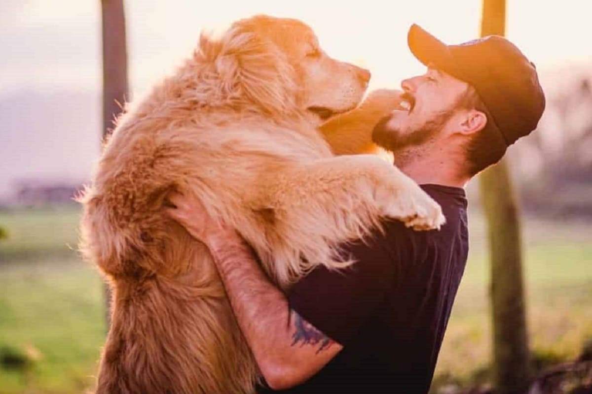 💔Fallecen el influencer Jesse Koz y su perro Shurastey, quienes hacían videos viajando por el mundo 6 Jesse Koz y su perro 1