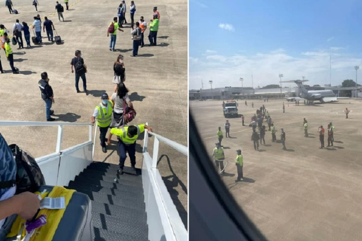 Pajaro avion Tabasco 1