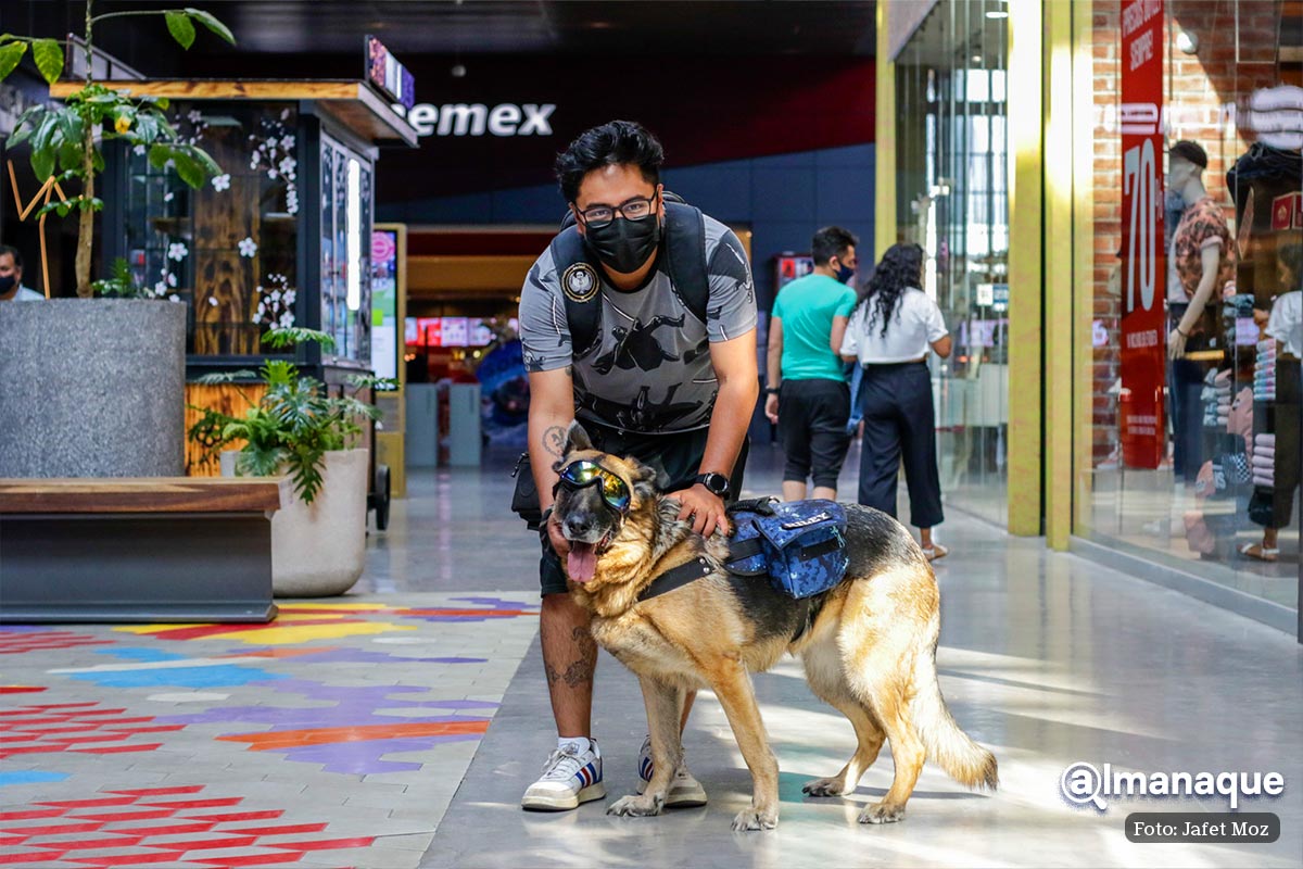 Parque Puebla pet friendly 10