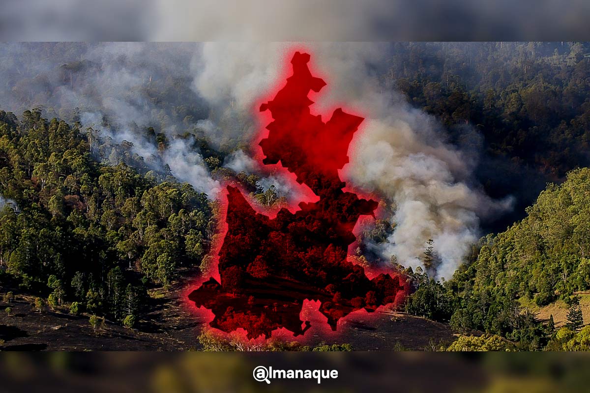 Puebla es el cuarto estado con mas incendios forestales