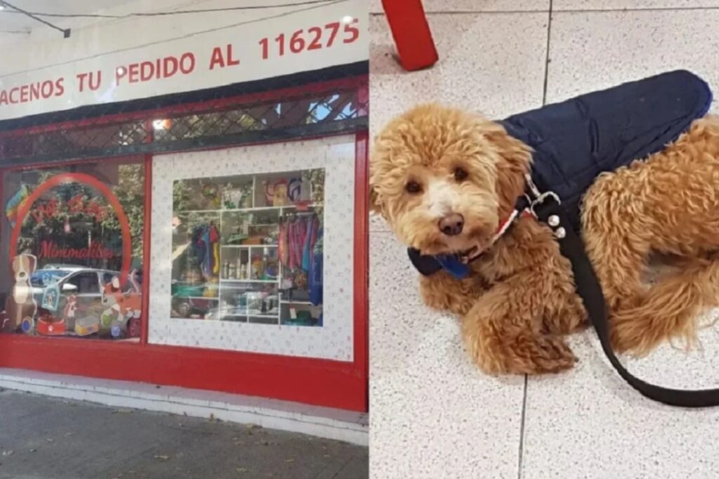 abandona perro veterinaria 1