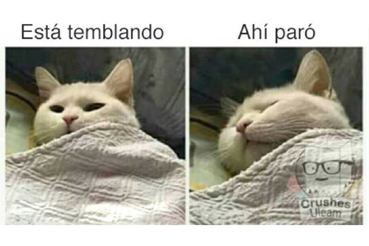 Estos son los MEMES que dejó el sismo que sacudió Oaxaca 2 meme temblor