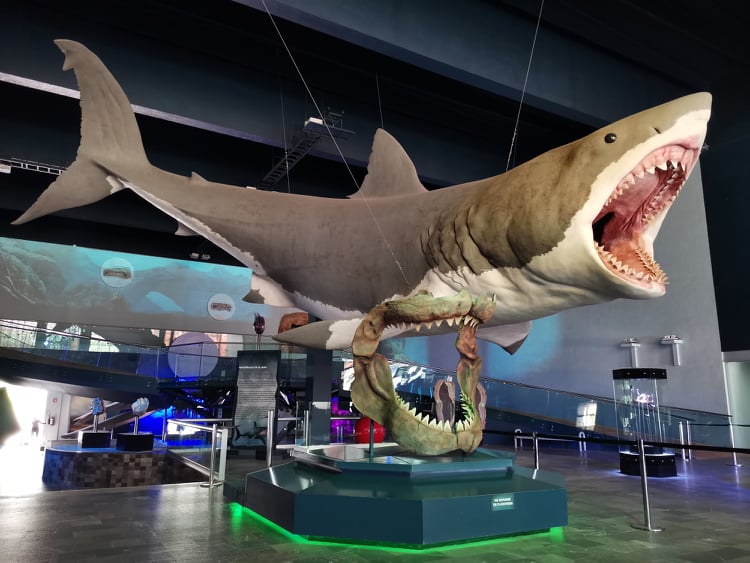 museo de la evolucion