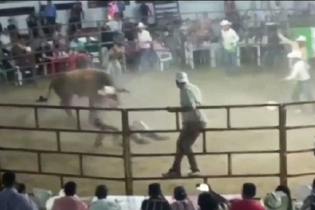toro mata a hombre en jaripeo 1