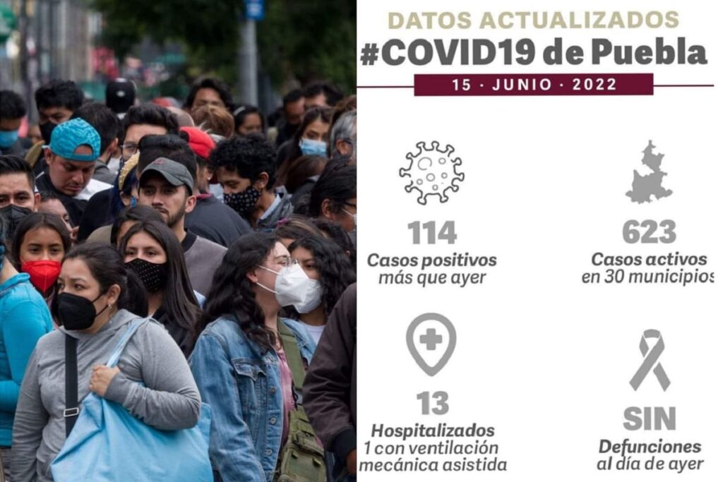 286220377 751950575993760 2011257542713176197 n 1