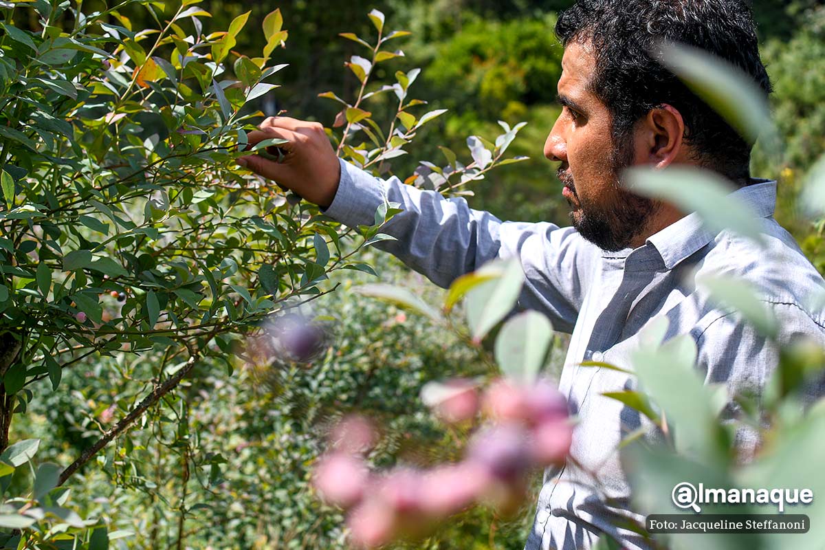 Berries Club Zacatlan Puebla 12