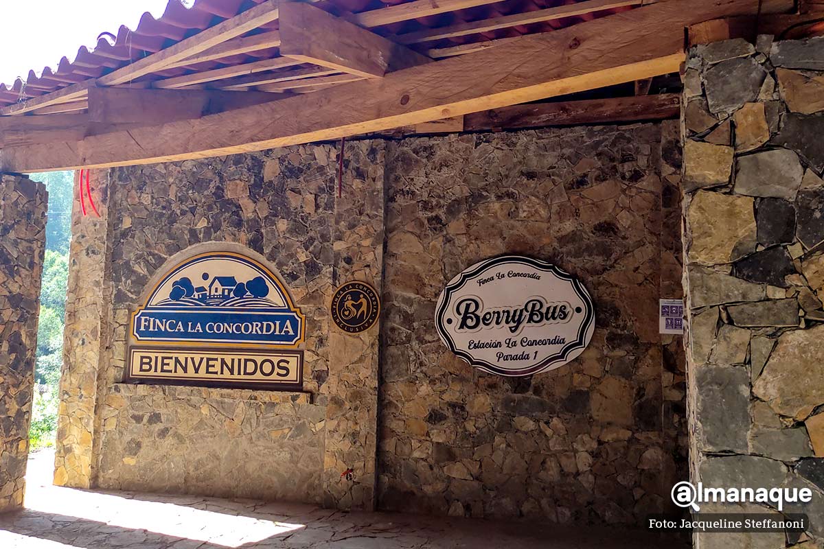 Berries Club Zacatlan Puebla 2