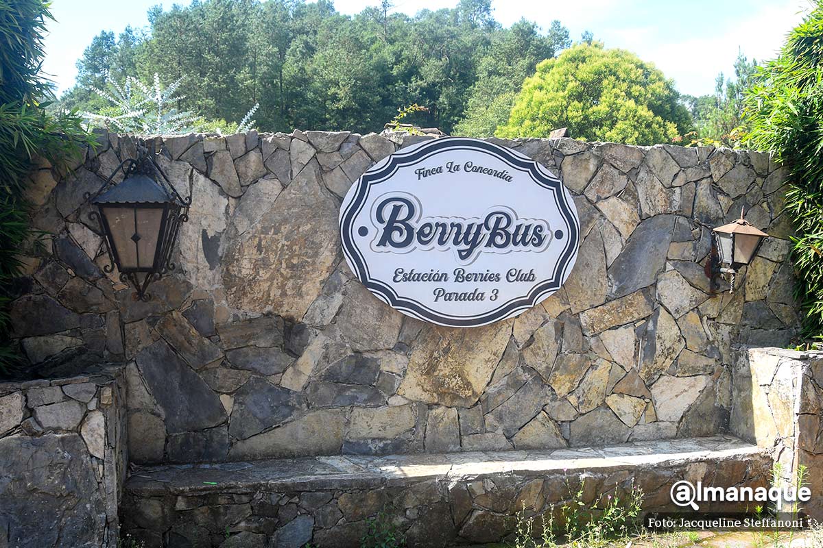 Berries Club Zacatlan Puebla 5