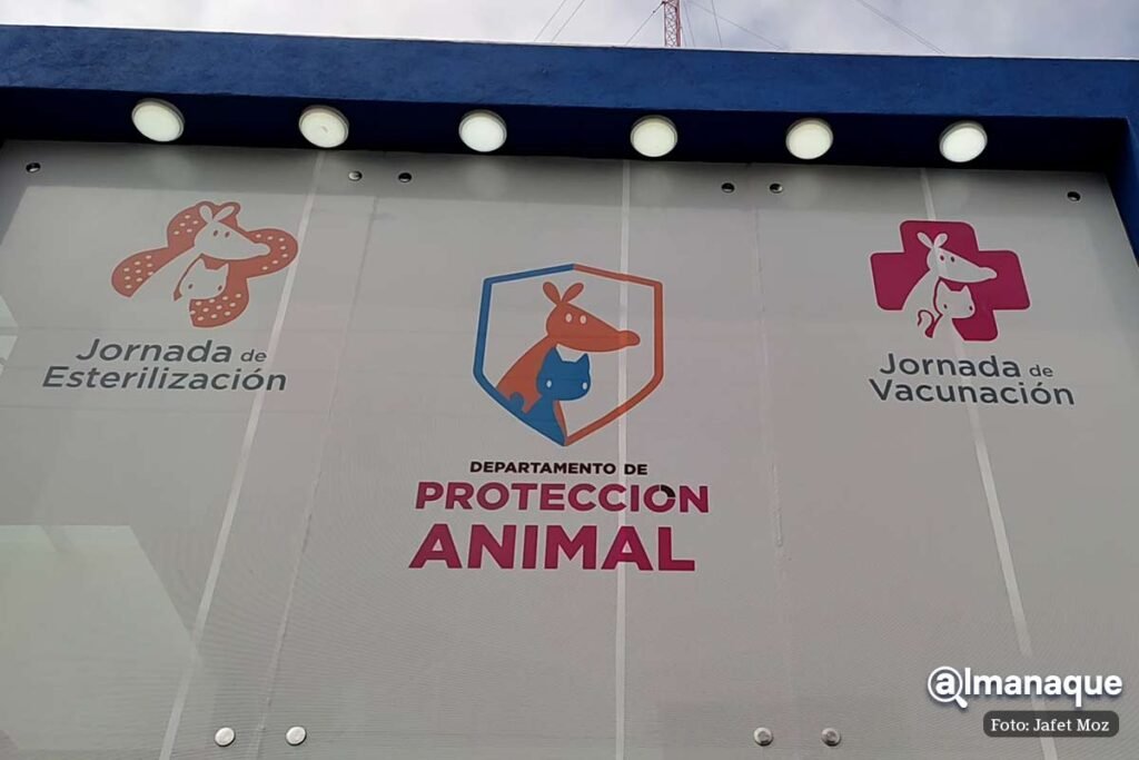 Bienestar Animal de Puebla adopcion 1