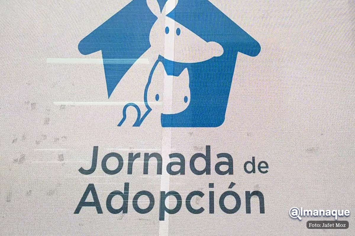 Bienestar Animal de Puebla adopcion 2