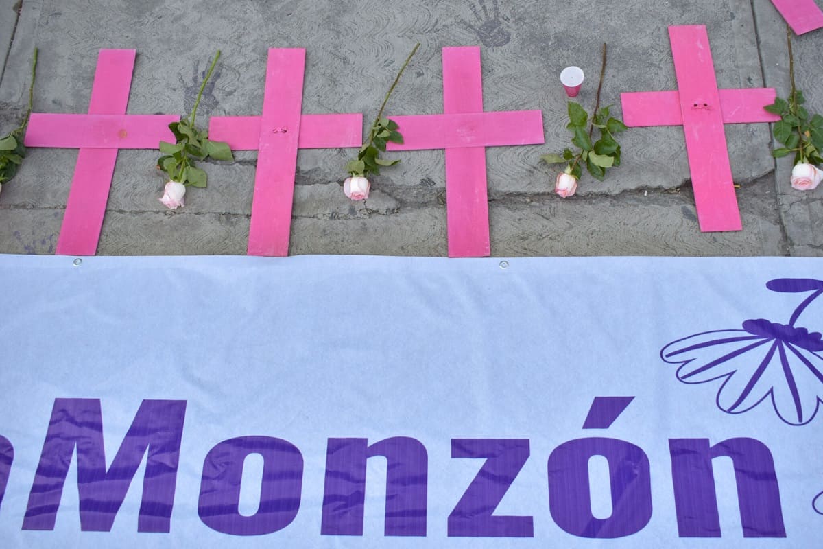 Helena Monzón confirma detención de "implicados" en el feminicidio de su hermana 5 feminicida de Cecilia Monzón