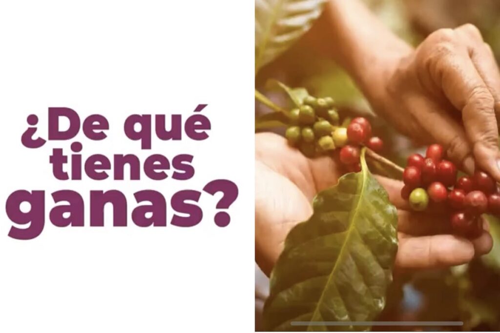 De que tienes ganas puebla promocion 1