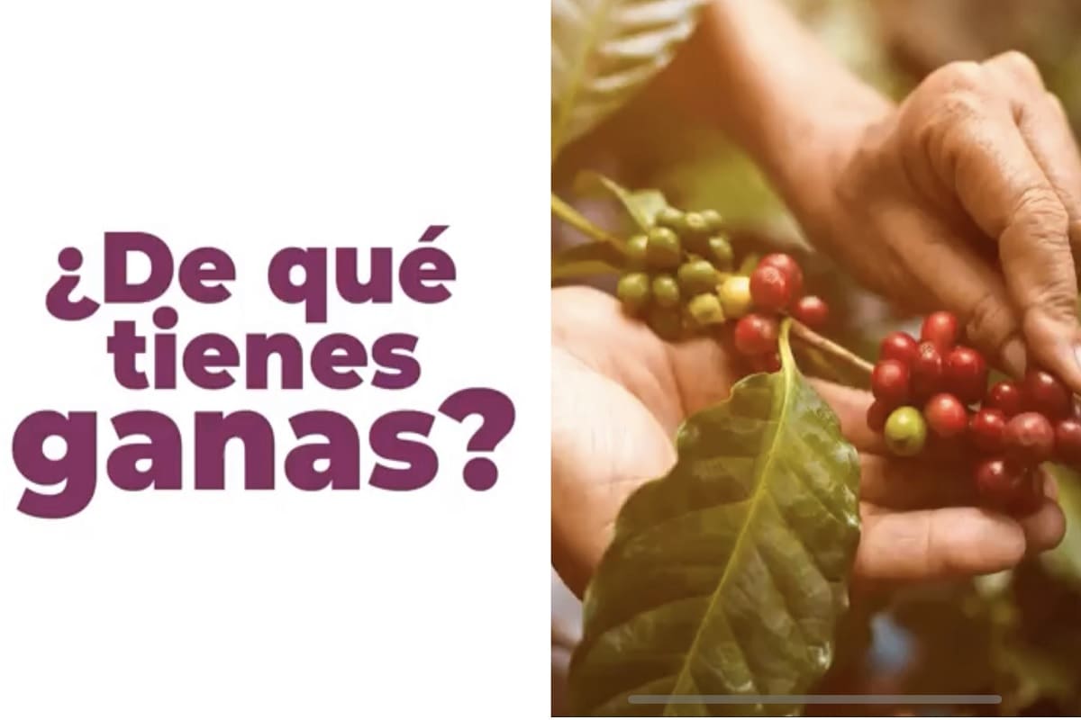 "Puebla" será marca representativa del actual gobierno: Barbosa Huerta 2 De que tienes ganas puebla promocion 1