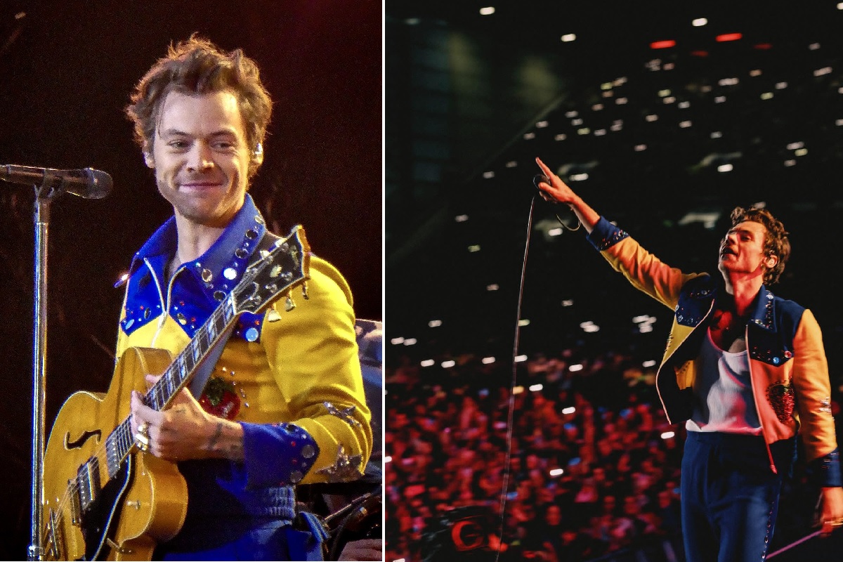 Fan de Harry Styles cae del tercer piso del estadio durante uno de sus conciertos 2 Harry Styles