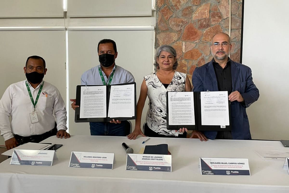 Celebra Ayuntamiento de Puebla convenio con CONAFOR para preservar los bosques 2 Imagen de iOS 1 1 1