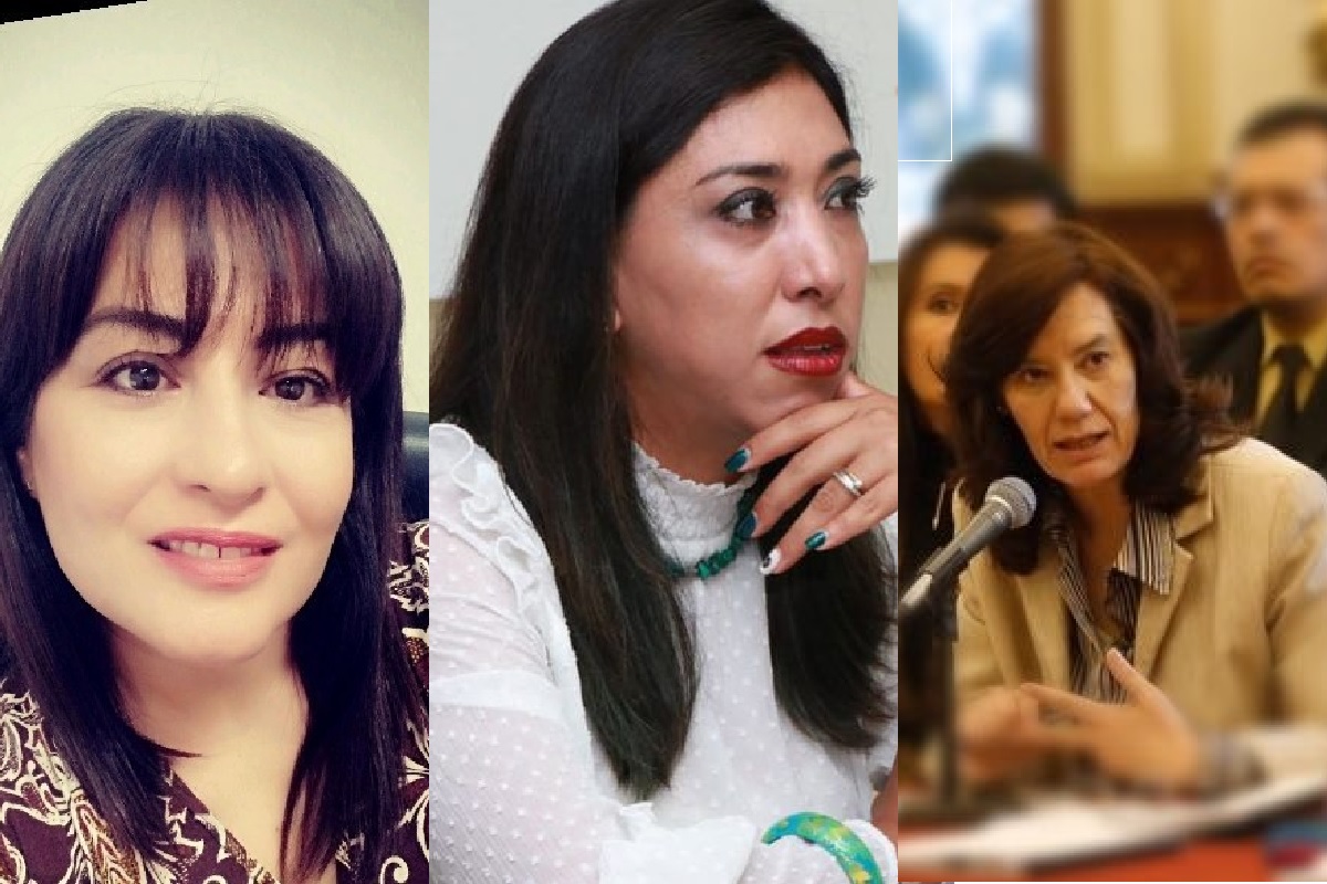 Congreso repondrá proceso para elegir a nueva comisionada del Itaipue 2 Itaipue