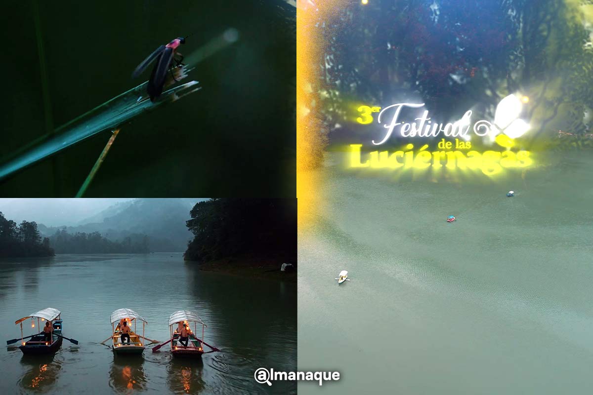 Tours para disfrutar el avistamiento de luciérnagas en Tlatlauquitepec 10 Tours para disfrutar luciernagas en Tlatlauquitepec