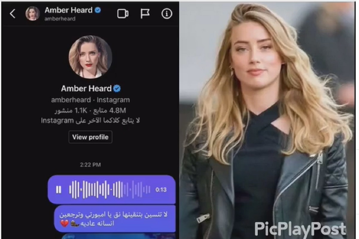 Tras perder el juicio contra Depp, proponen matrimonio a Amber Heard 2 amber