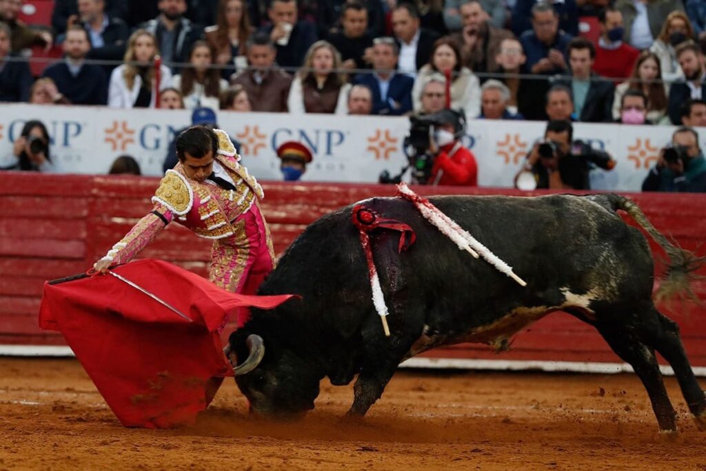 corrida de toros en la plaza mexico 1