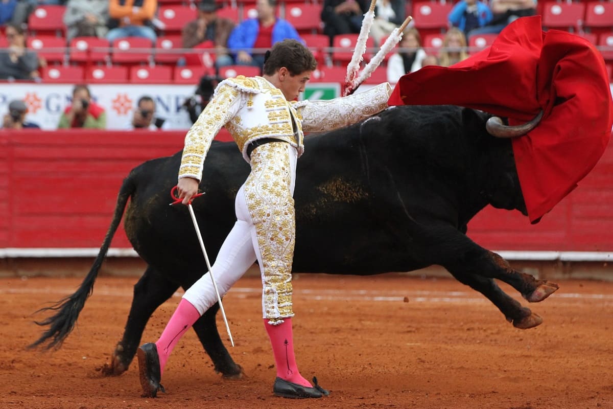 Corridas de toros y peleas de gallos ya no serán patrimonio cultural en Nayarit 2 corridas de toros 1 1