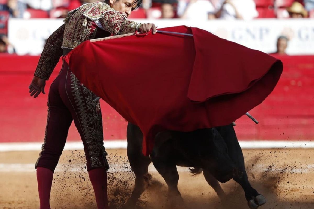 Suspenden definitivamente las corridas de toros en Plaza México 6 corridas de toros