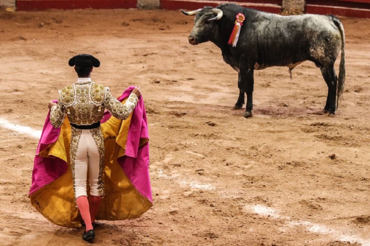Proponen 4 años de cárcel para quien organice corridas de toros y peleas de gallos en Puebla 2 corridas de toros el sol