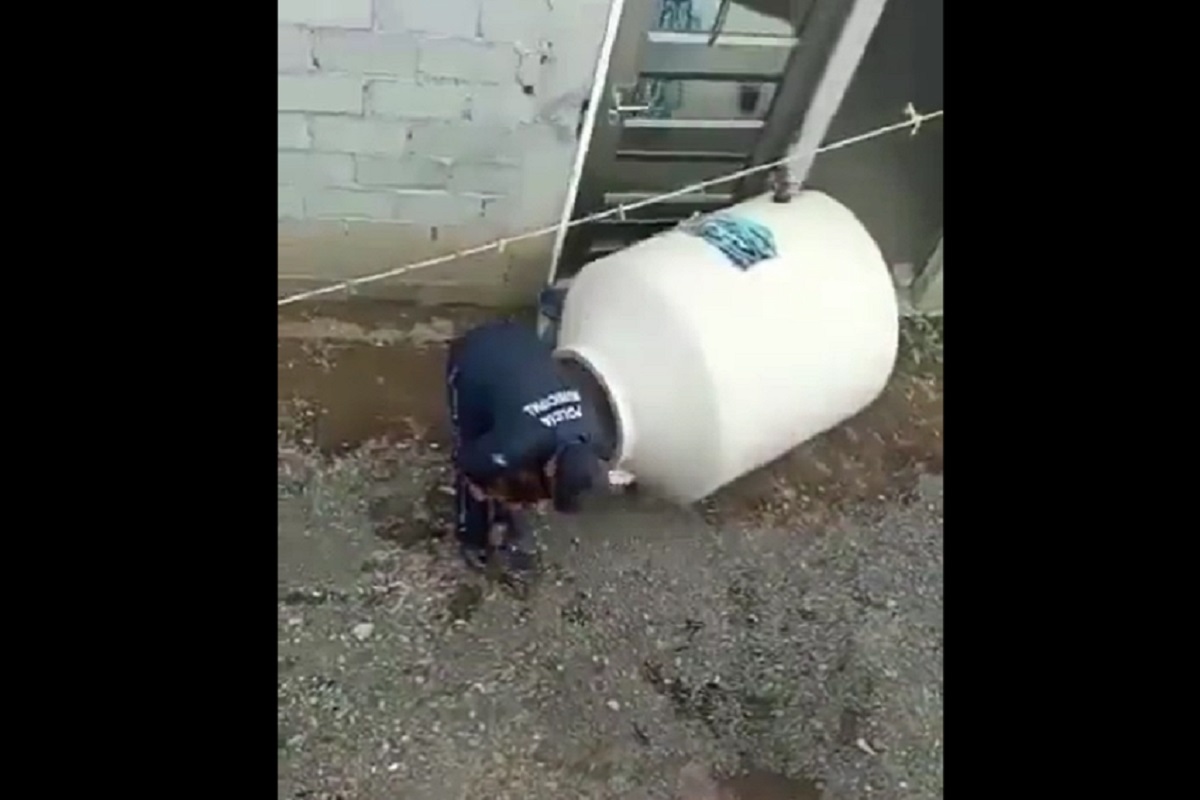 "Mis papás me dejaron": Policía de Chalco rescata a niña que estaba en un tinaco (VIDEO) 2 nina