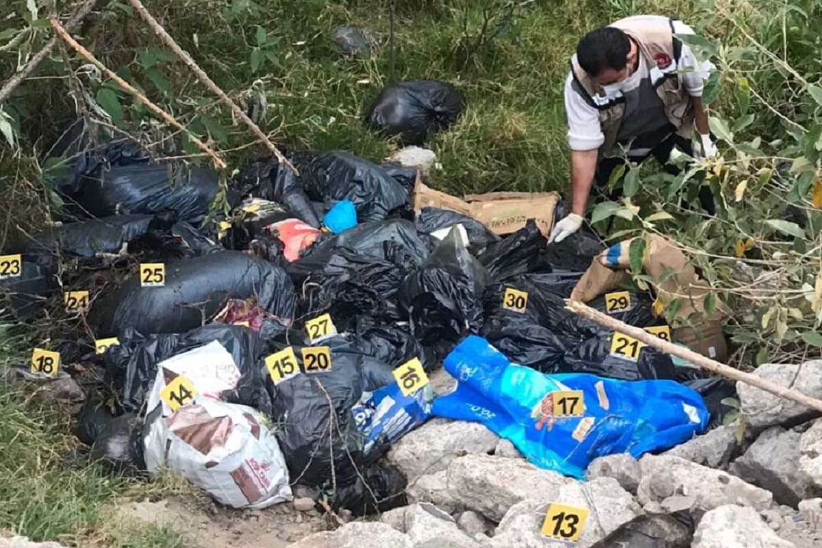 Hallan restos de más de 100 perros en bolsas de plástico en Naucalpan, Edomex 5 restos de perros 1