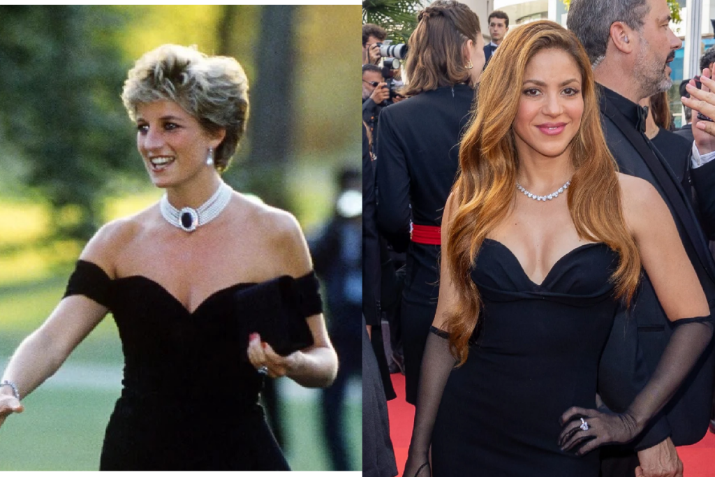 shakira ladydi