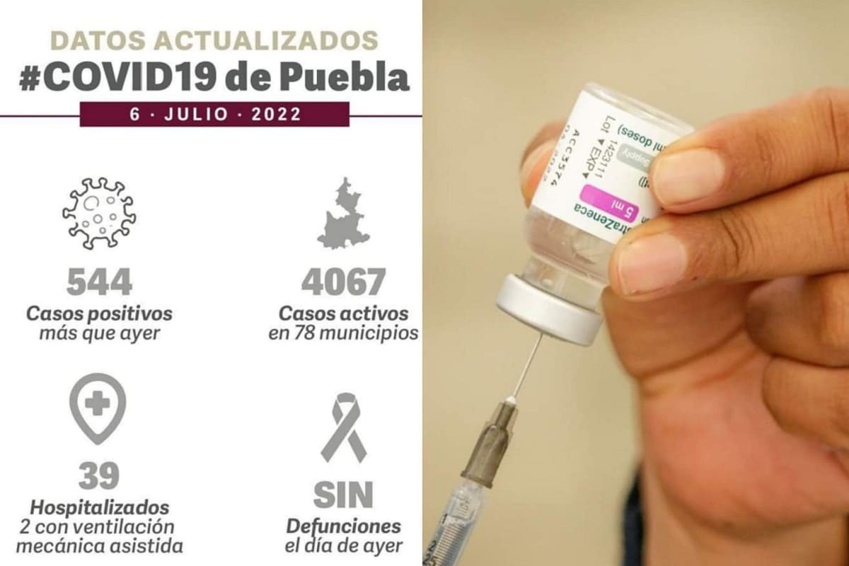 290511736 622472819236987 3775218715996244283 n 1