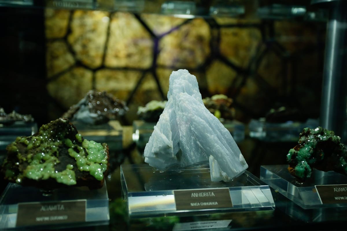 Museo de la Evolución de Tehuacán fue construido con materiales inservibles: Barbosa 14 IMG 107