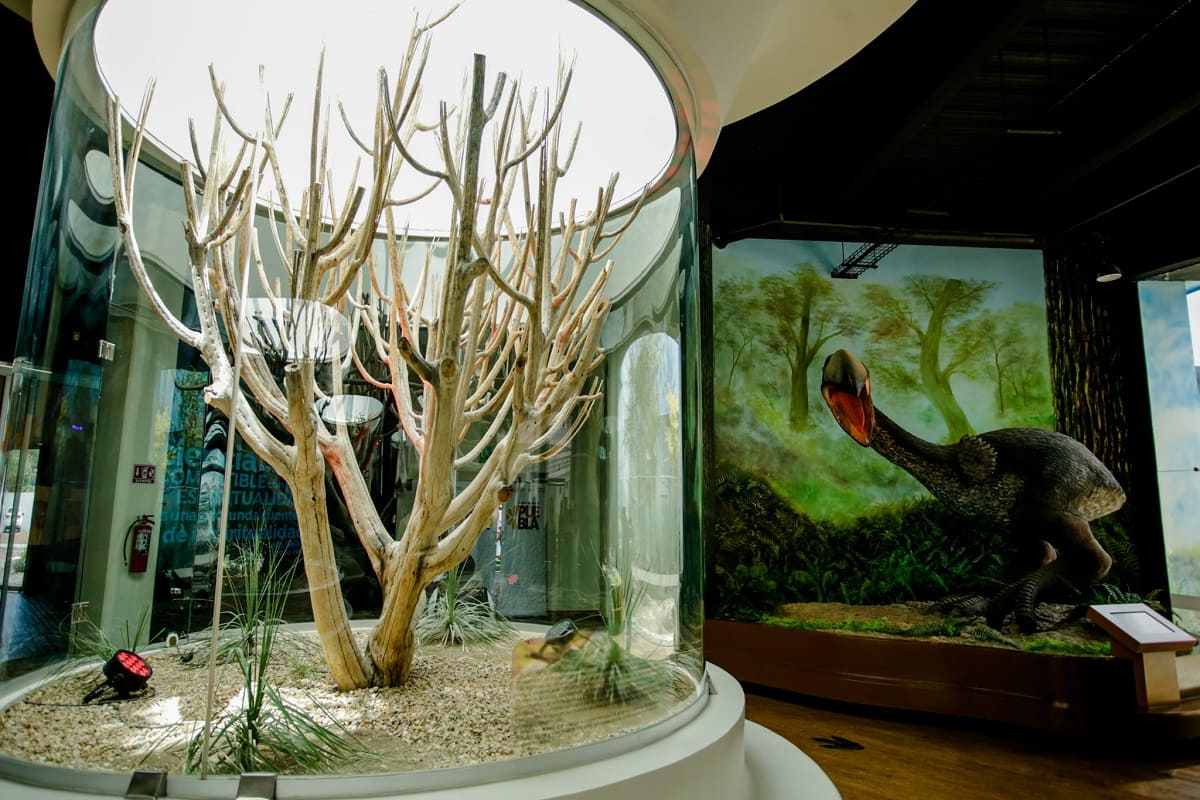 Museo de la Evolución de Tehuacán fue construido con materiales inservibles: Barbosa 20 IMG 92 1