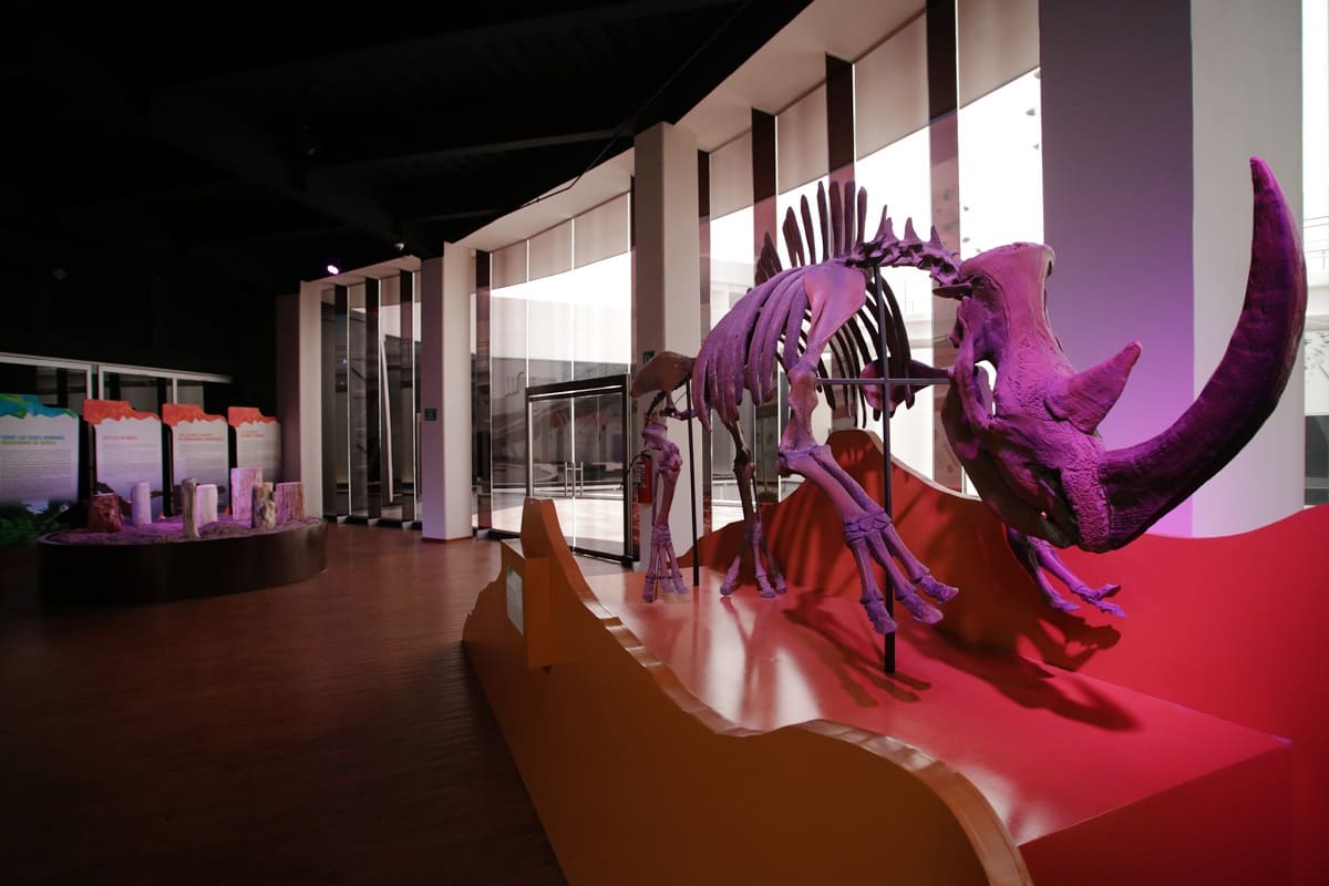 Museo de la Evolución de Tehuacán fue construido con materiales inservibles: Barbosa 17 IMG 93 1