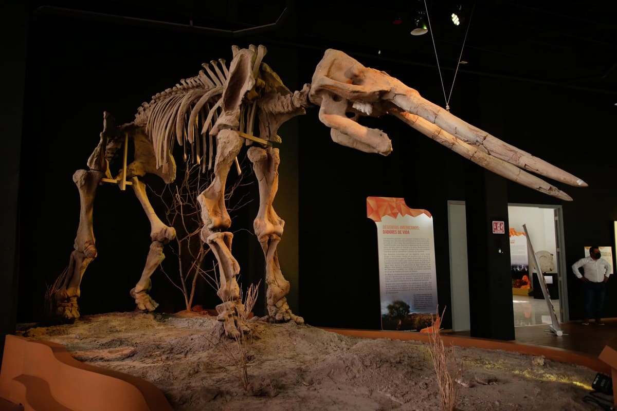 Museo de la Evolución de Tehuacán fue construido con materiales inservibles: Barbosa 15 IMG 96 1
