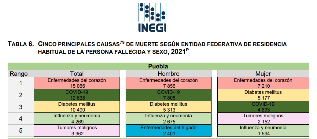 INEGI causas de muerte Puebla