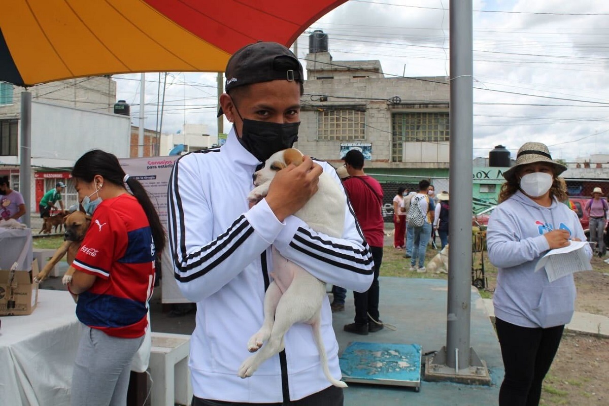 Lleva ayuntamiento de Puebla servicios de esterilización y vacunas para animales a la Rivera Anaya 1 Imagen de iOS 131