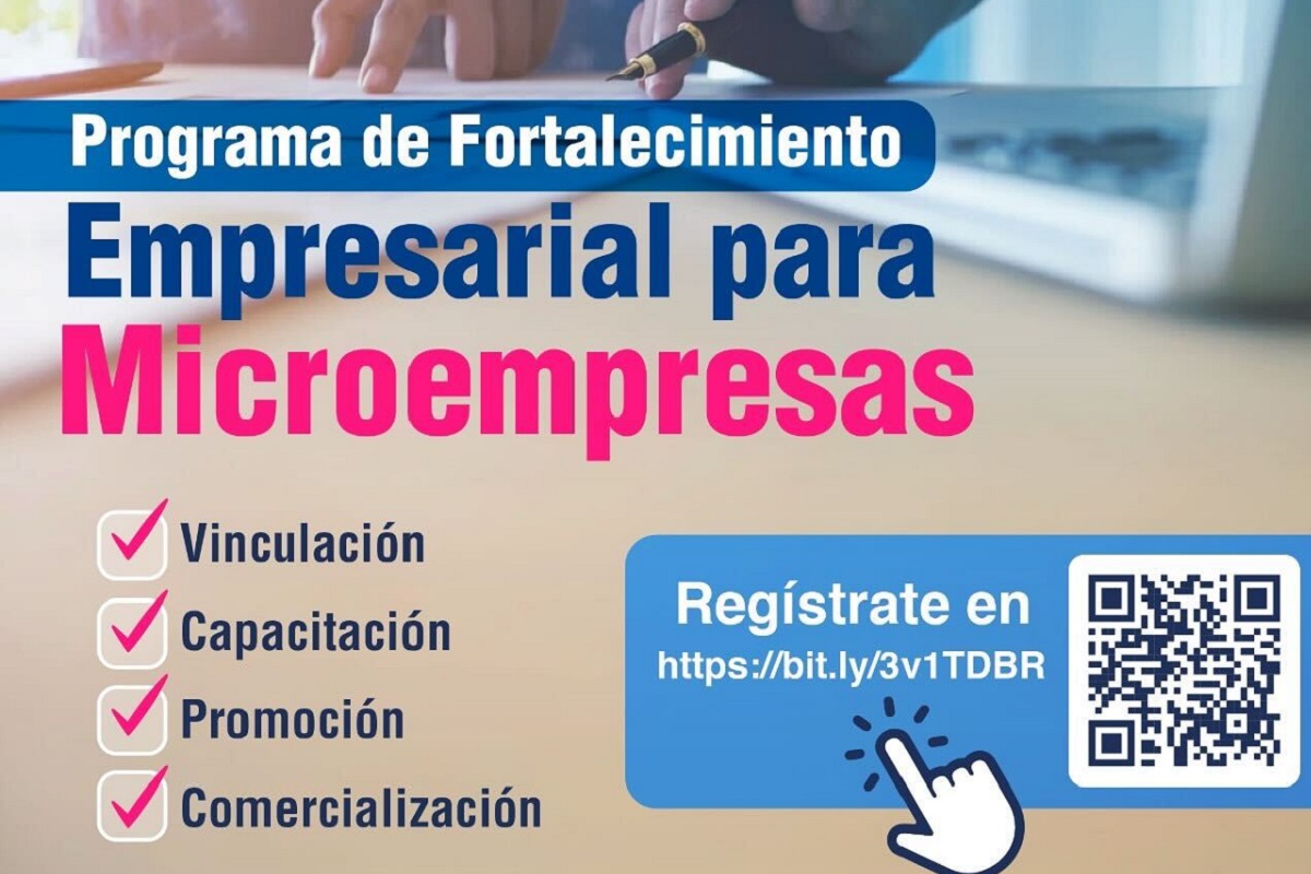 Programa fortalecimiento empresarial