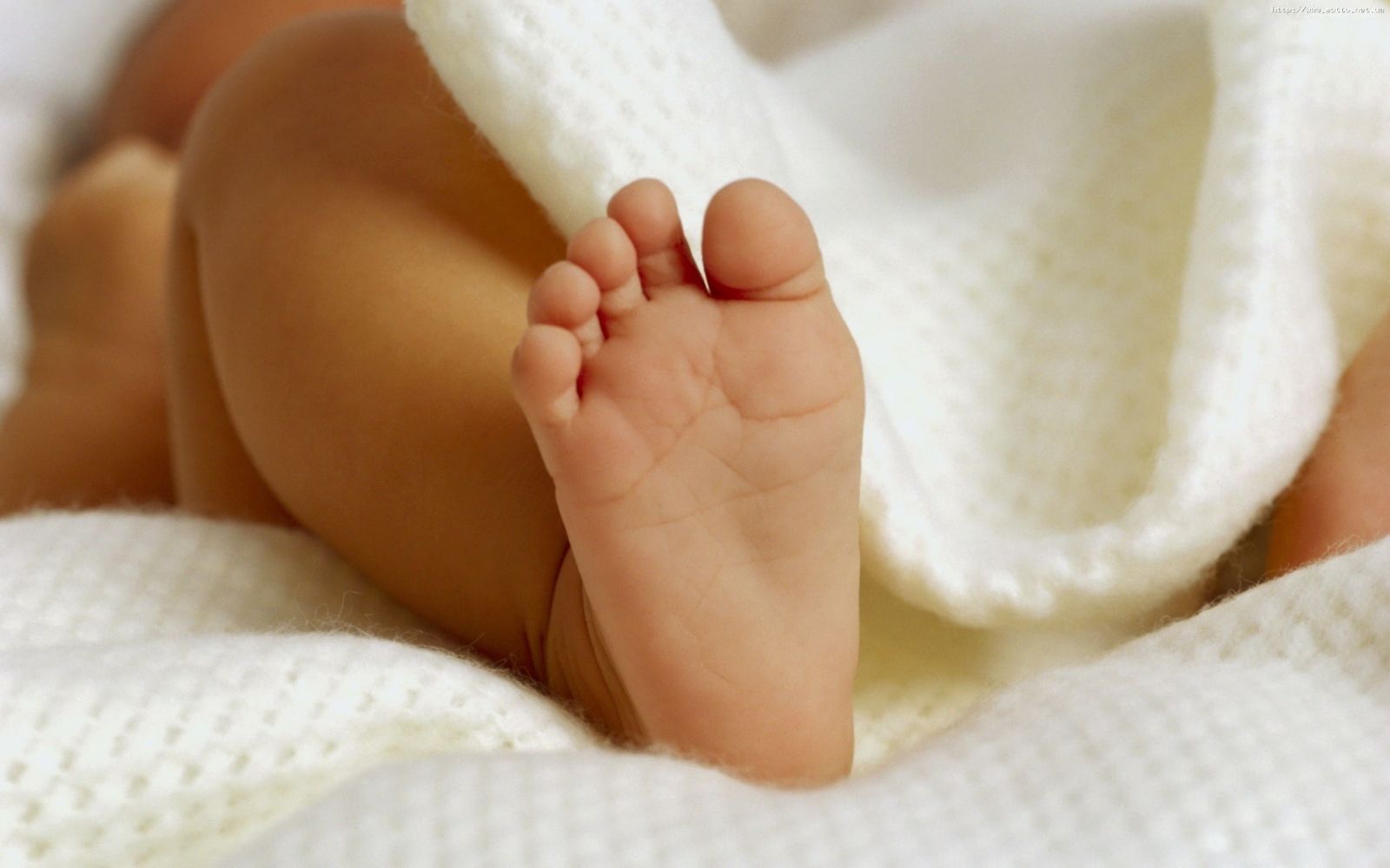 Bebé de 11 meses muere de calor dentro de un auto en Florida 5 bebe 1