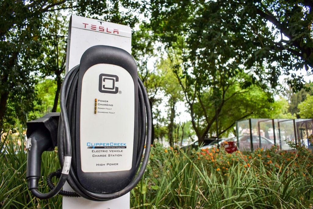 cargadores electricos puebla 1