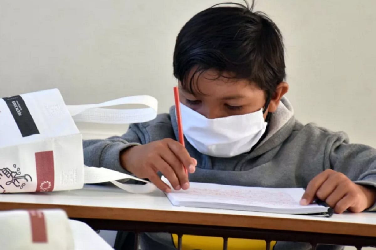 Aquí te decimos cómo consultar la boleta de calificaciones del ciclo escolar 2021-2022 5 clases 1