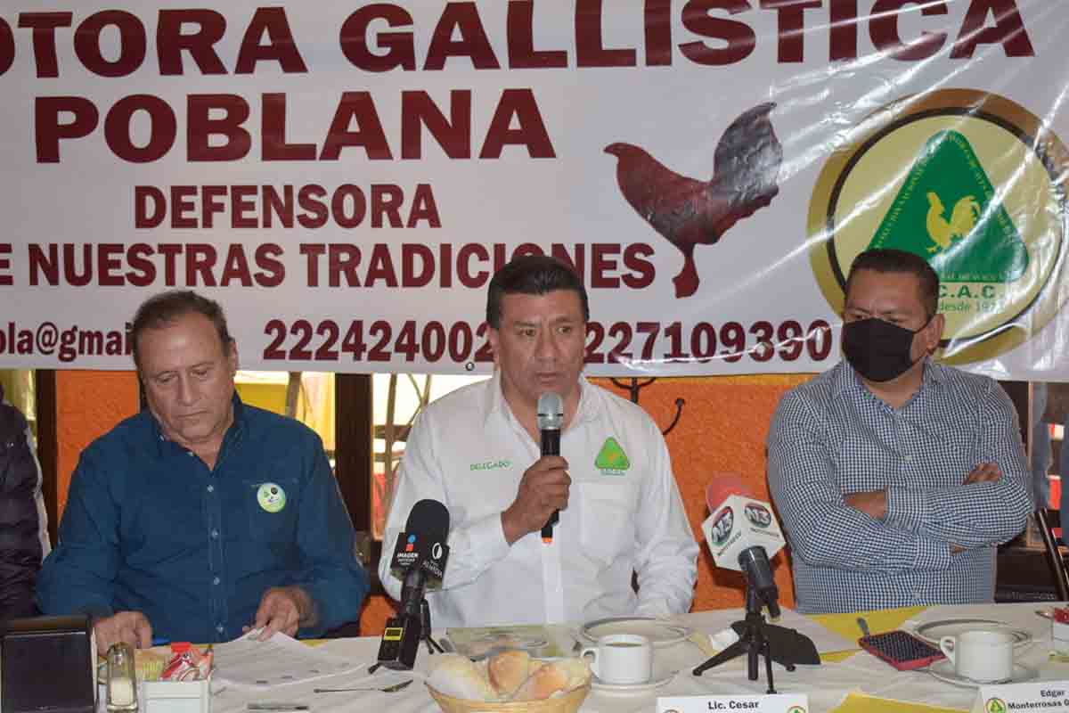 Convocan a mega marcha en Puebla para evitar la prohibición de las peleas de gallos 2 defensores gallos puebla